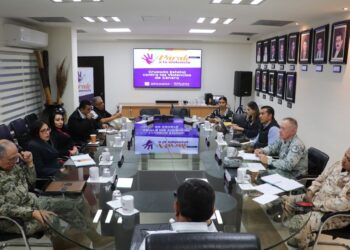 ANTE MESA DE SEGURIDAD, INFORMA ISMUJERES ACCIONES DE LA CRUZADA ESTATAL CONTRA LA VIOLENCIA
