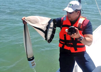 ANÁLISIS DE LABORATORIO FEDERAL DESCARTA CONCENTRACIONES DE TOXINAS MARINAS EN BAHÍA DE LA PAZ