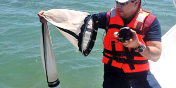 ANÁLISIS DE LABORATORIO FEDERAL DESCARTA CONCENTRACIONES DE TOXINAS MARINAS EN BAHÍA DE LA PAZ