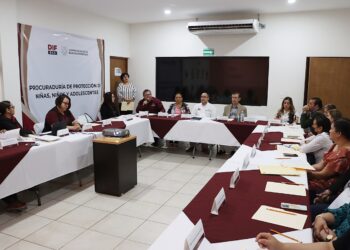SE REALIZA SESIÓN DEL CONSEJO ESTATAL DE ADOPCIONES