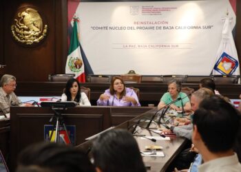 REINSTALA GOBIERNO DEL ESTADO COMITÉ PROAIRE
