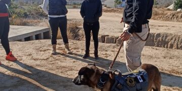 36 ACCIONES DE BÚSQUEDA SE HAN REALIZADO EN BCS, EN EL PRIMER BIMESTRE DE 2023