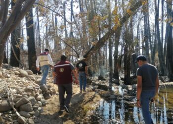 TRES ÓRDENES DE GOBIERNO EVALÚAN DAÑOS EN SIERRA DE EL PATROCINIO