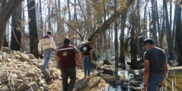 TRES ÓRDENES DE GOBIERNO EVALÚAN DAÑOS EN SIERRA DE EL PATROCINIO
