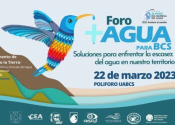 Invitan al Foro +Agua para BCS: Soluciones para enfrentar la escasez del agua en nuestro territorio