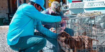ARRANCA CAMPAÑA DE ESTERILIZACIÓN EN SANTA ROSALÍA