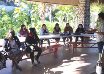 Imparten el Primer Taller de Huertos de Traspatio en La Paz