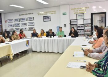Se reúne la Comisión de Igualdad de Género con las integrantes del Primer Parlamento de Mujeres y Colectivos Feministas