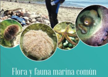 Presentan libro de flora y fauna marina de la Bahía de La Paz: una guía para buzos y amantes del mar