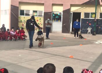 Promueve CEMAC la cultura del bienestar animal en el CENDI