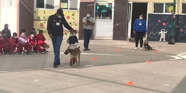 Promueve CEMAC la cultura del bienestar animal en el CENDI
