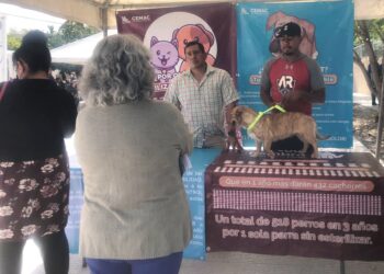 Promueve el CEMAC la adopción de mascotas en las audiencias ciudadanas