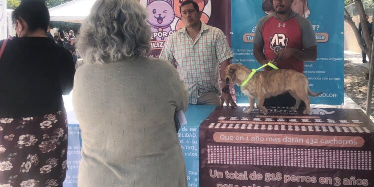 Promueve el CEMAC la adopción de mascotas en las audiencias ciudadanas