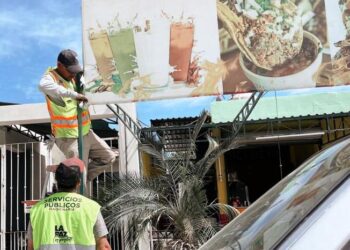 Realiza Ayuntamiento liberación de la vía pública en bulevar Pino Pallas