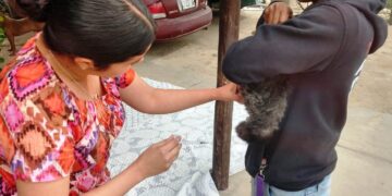 Realiza CEMAC Campaña de Esterilización en Todos Santos