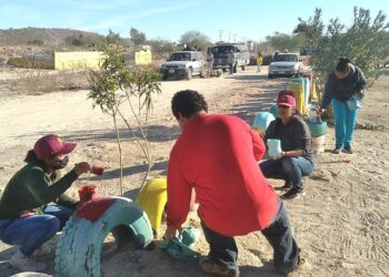 Servicios Públicos embellece 10 parques y jardines de la ciudad