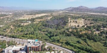 Con una rápida intervención de los cuerpos de socorro fue sofocado el conato de incendio en palmar de SJC