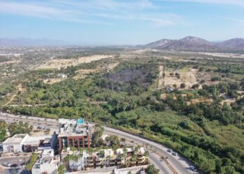 Con una rápida intervención de los cuerpos de socorro fue sofocado sin pérdidas humanas el conato de incendio en palmar de SJC