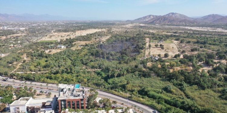 Con una rápida intervención de los cuerpos de socorro fue sofocado sin pérdidas humanas el conato de incendio en palmar de SJC