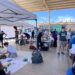 Se suman 232 mascotas a la Campaña de Esterilización impulsada por el XIV Ayuntamiento de Los Cabos y Casa Sheila A.C.