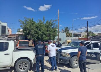 Más de 100 operativos enfocados a la regularización y supervisión de giros comerciales ha desplegado el Gobierno de Los Cabos en este 2023