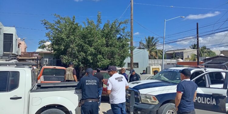 Más de 100 operativos enfocados a la regularización y supervisión de giros comerciales ha desplegado el Gobierno de Los Cabos en este 2023
