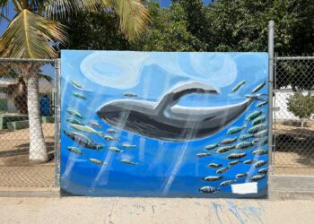 “Muros de Transformación” continúa plasmando arte local en escuelas de Los Cabos