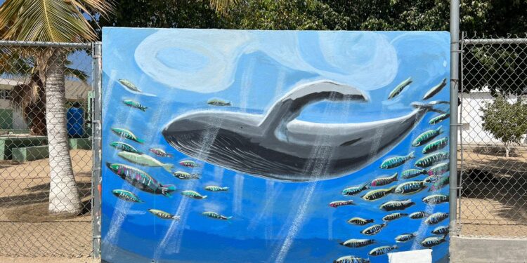 “Muros de Transformación” continúa plasmando arte local en escuelas de Los Cabos