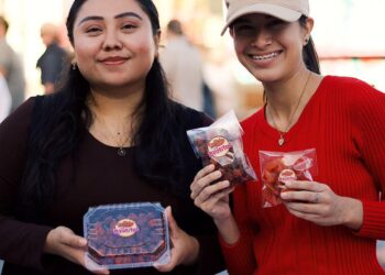 Conoce el “Mercado Juvenil” que impulsa el INJUVE en SJC y CSL