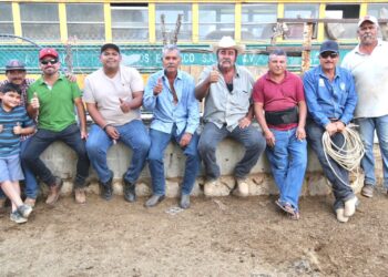 Entrega el Gobierno Municipal ganado bovino en las comunidades rurales de CSL