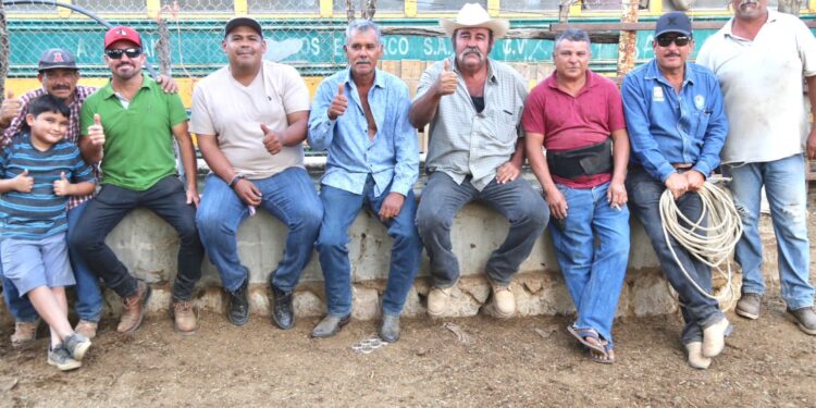 Entrega el Gobierno Municipal ganado bovino en las comunidades rurales de CSL