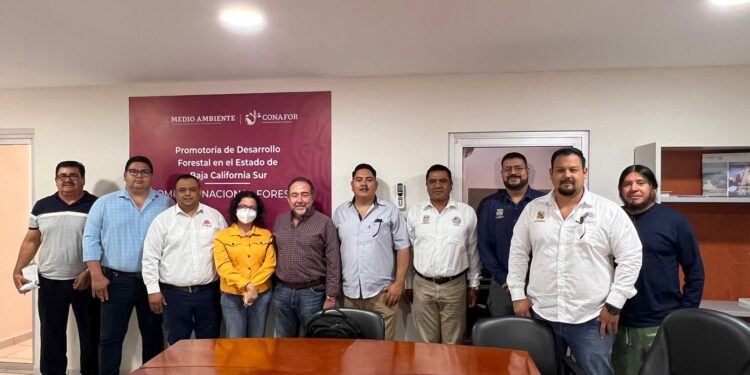 Reciben servidores públicos del XIV Ayuntamiento de Los Cabos capacitación para la Integración de Brigadas de Saneamiento Forestal 2023