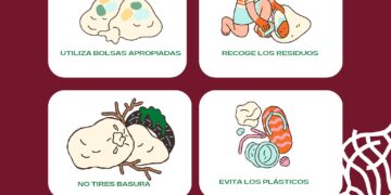 Gobierno de Los Cabos cuenta con el Programa Permanente de Playas Limpias&nbsp;