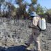 Realiza Dirección de Ecología y Medio Ambiente recorrido en zona siniestrada en la reserva del Estero de San José del Cabo