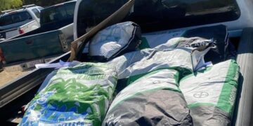 En Los Cabos, el Gobierno Municipal se prepara para la sequía con programas en apoyo a ganaderos y productores