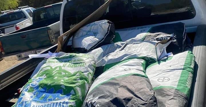 En Los Cabos, el Gobierno Municipal se prepara para la sequía con programas en apoyo a ganaderos y productores