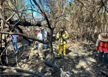 Con maquinaria, herramientas y elementos, apoyó Servicios Públicos durante el incendio ocurrido en el palmar de San José del Cabo