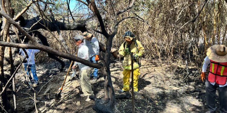Con maquinaria, herramientas y elementos, apoyó Servicios Públicos durante el incendio ocurrido en el palmar de San José del Cabo