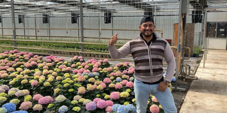 Hay oportunidades de trabajo en Canadá: anuncia SNE-BCS