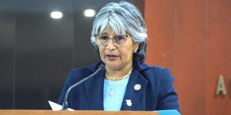 Que haya igualdad en la administración de sociedad conyugal: Diputada Trejo Piñuelas