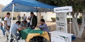 En 2023 SNE-BCS ha colocado 1,200 personas en empleo formal