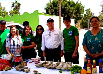 SE CONSOLIDA CULTIVO DE OSTIÓN EN BCS CON 2 MIL 200 TONELADAS ANUALES