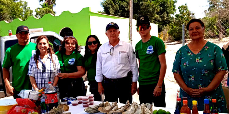 SE CONSOLIDA CULTIVO DE OSTIÓN EN BCS CON 2 MIL 200 TONELADAS ANUALES
