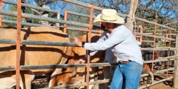 APLICAN SEPADA Y COMITÉ DE PROTECCIÓN PECUARIA, MIL VACUNAS ANTIRRÁBICAS&nbsp;