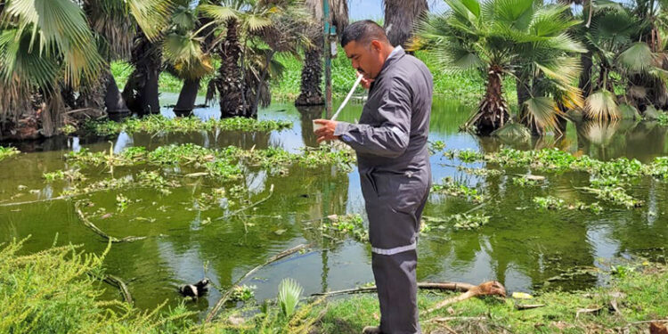 SE MANTIENE BCS SIN CASOS AUTÓCTONOS POR PALUDISMO&nbsp;