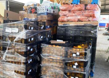 FORTALECERÁN SEPADA Y SENASICA INSPECCIÓN&nbsp; &nbsp; EN PUNTOS DE VERIFICACIÓN INTERNA