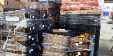 FORTALECERÁN SEPADA Y SENASICA INSPECCIÓN&nbsp; &nbsp; EN PUNTOS DE VERIFICACIÓN INTERNA