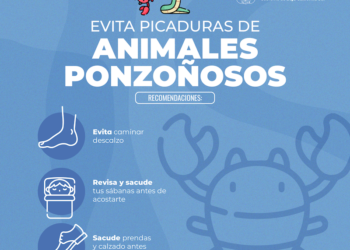 LLAMA SSA A VACACIONISTAS A PREVENIR ACCIDENTES POR ANIMALES PONZOÑOSOS