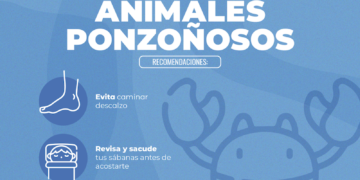 LLAMA SSA A VACACIONISTAS A PREVENIR ACCIDENTES POR ANIMALES PONZOÑOSOS