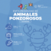LLAMA SSA A VACACIONISTAS A PREVENIR ACCIDENTES POR ANIMALES PONZOÑOSOS